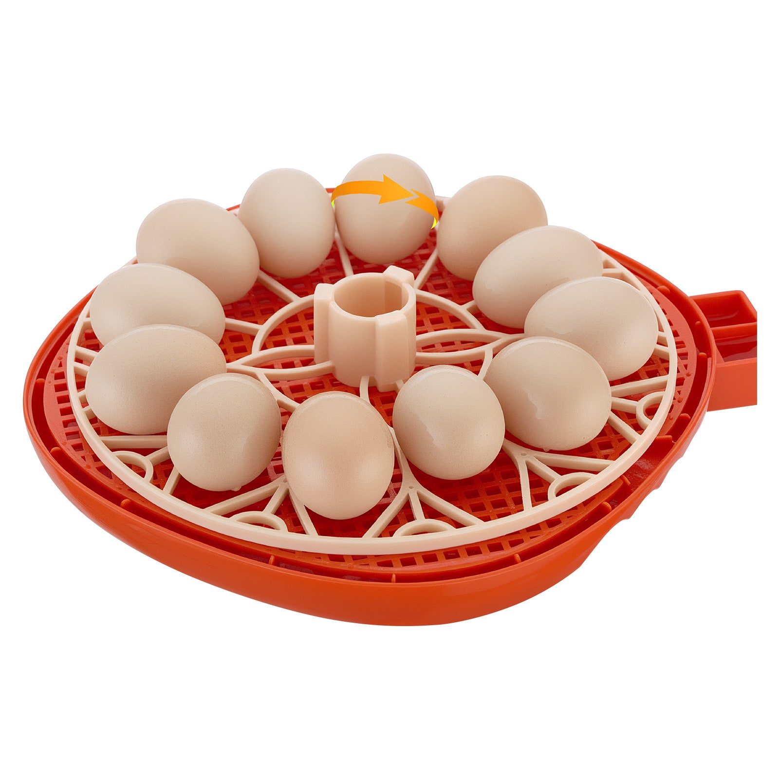 12 Egg Incubator, Automatic Egg Turner with LED Candler, Temperature & Humidity Control, 360° View Clear Window, Poultry Eggs Incubator for Home Farm, Hatching Chicks Ducks Goose Quail