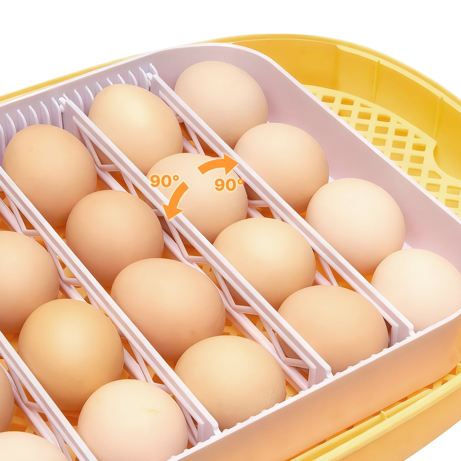 24 Egg Incubator, Automatic Egg Turner with LED Candler, Temperature & Humidity Control, 360° View Clear Window, Auto Water Refill, Poultry Eggs Incubators for Hatching Chicks Ducks Goose Quail