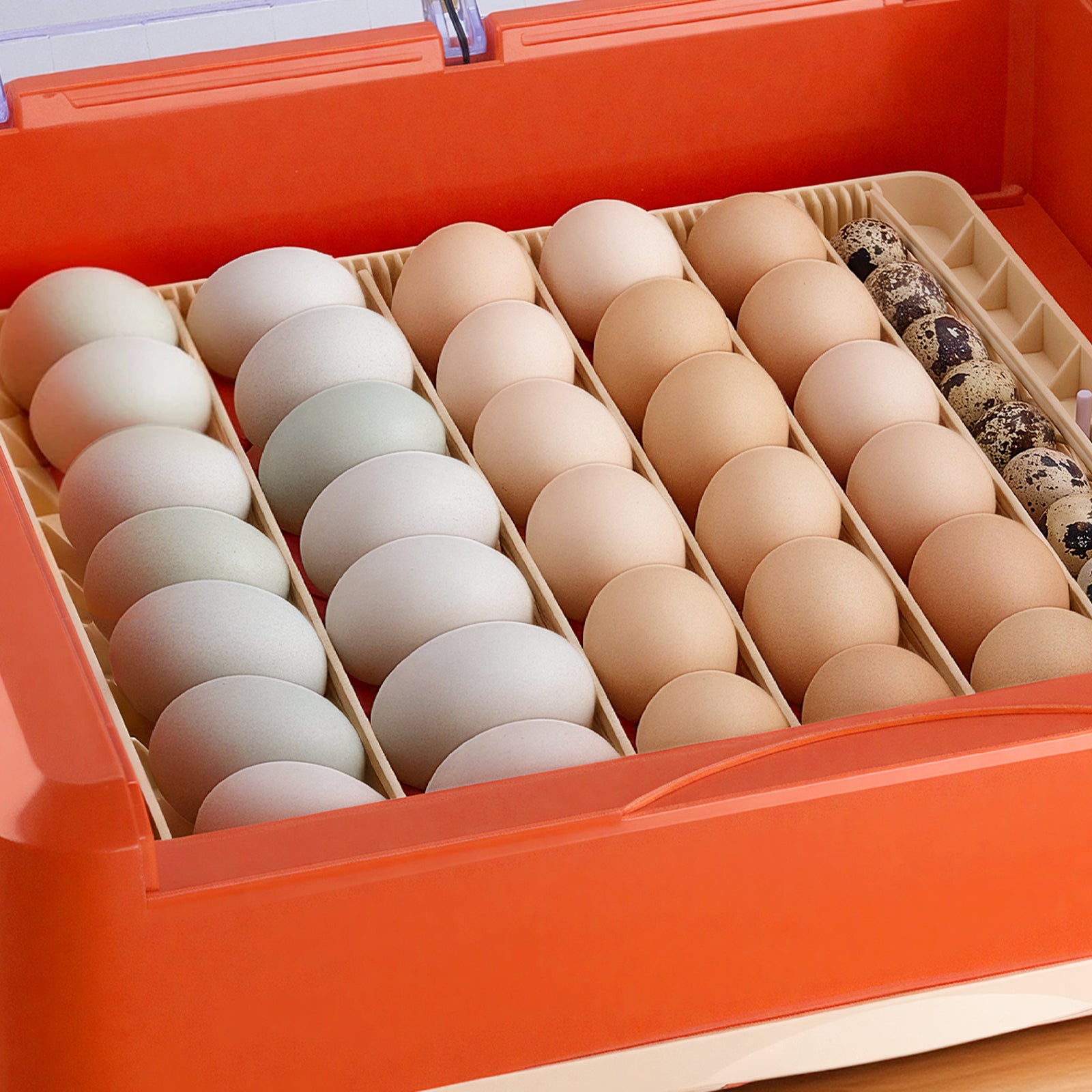 36 Egg Incubator, Automatic Egg Turner with LED Candler & Water Tray, Temperature & Humidity Control, 360° View Clear Window, Poultry Eggs Incubators for Hatching Chicks Ducks Goose Quails