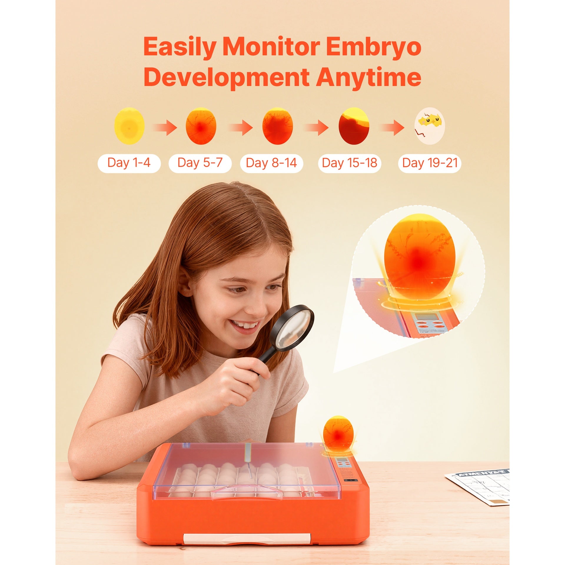 36 Egg Incubator, Automatic Egg Turner with LED Candler & Water Tray, Temperature & Humidity Control, 360° View Clear Window, Poultry Eggs Incubators for Hatching Chicks Ducks Goose Quails