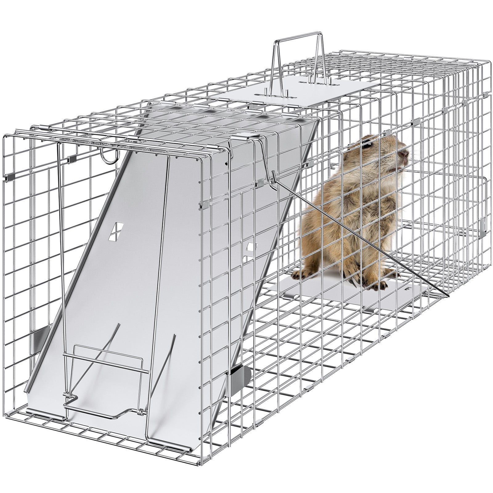 Live Animal Cage Trap, 31" x 10" x 12" Humane Cat Trap Galvanized Iron, Folding Animal Trap with Handle for Rabbits, Stray Cats, Squirrels, Raccoons, Groundhogs and Opossums