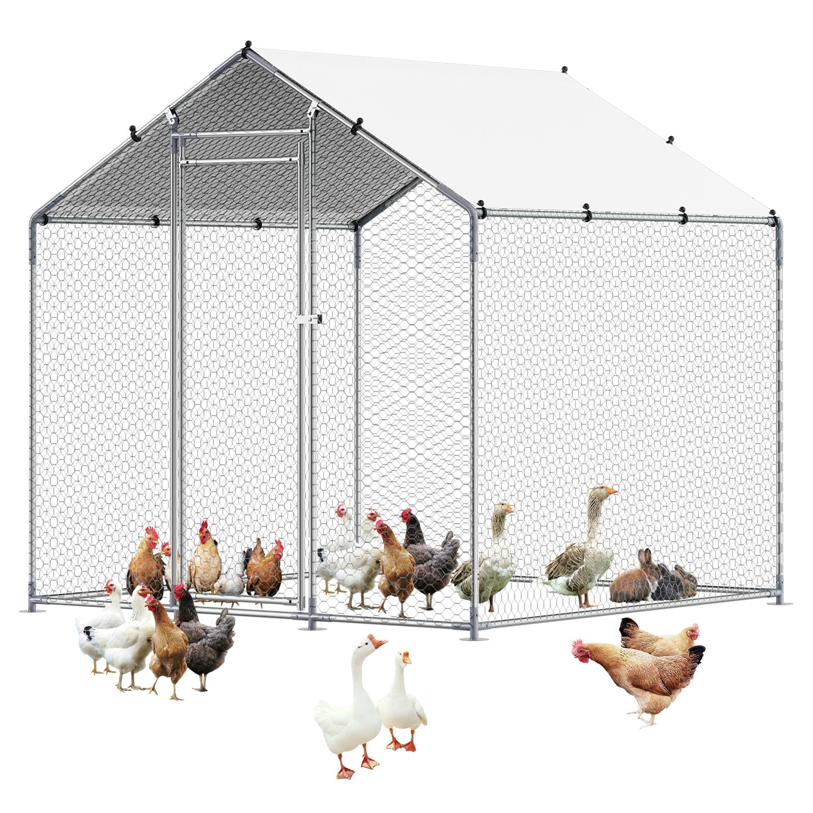 Metal Chicken Coop 6.56x6.56x6.56ft Walk-in Chicken Run with Cover Spire Roof