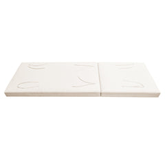 BROADWAY/IAN CHAISE LOUNGE CUSHION
