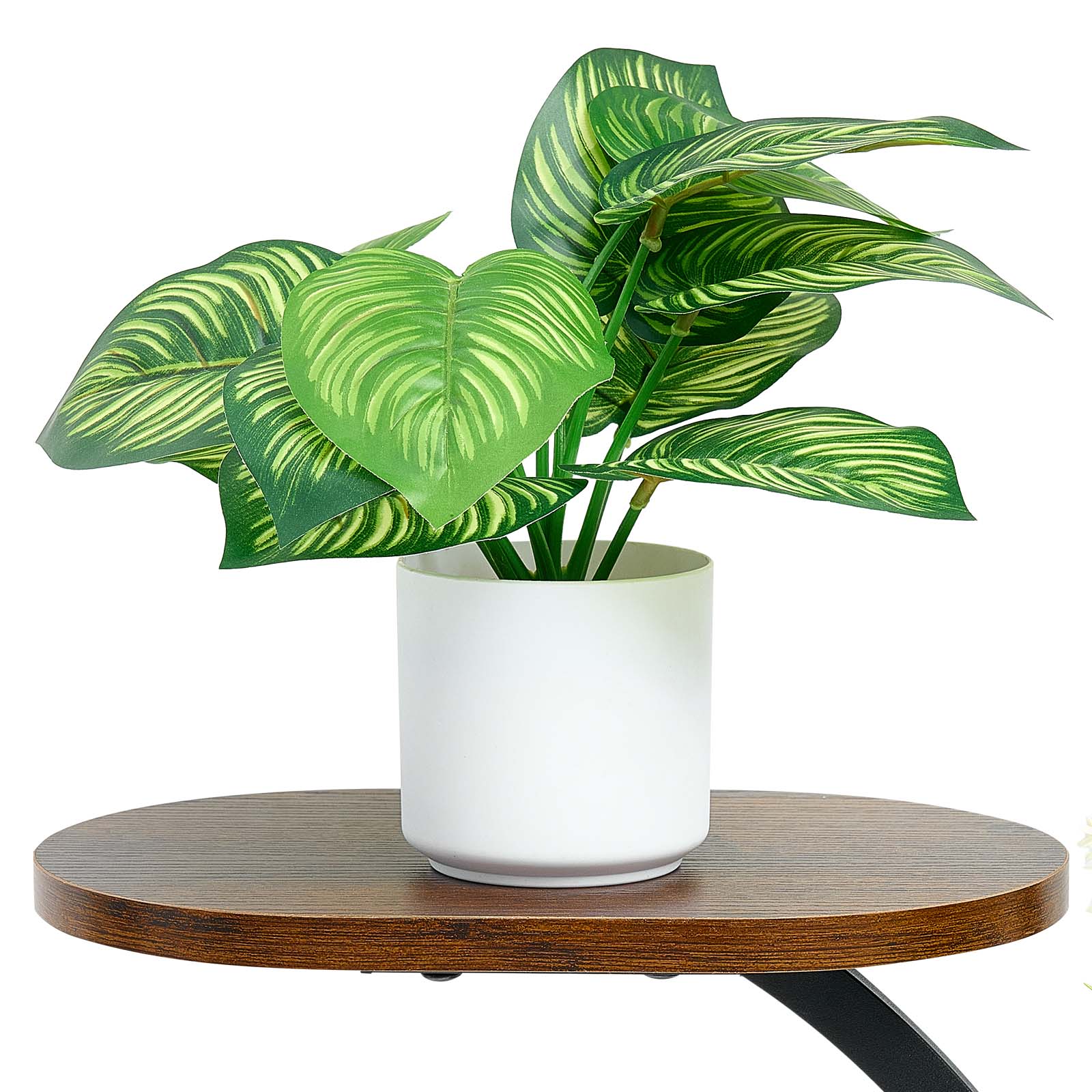 Plant Stand Indoor with Grow Lights, 62 in Tall 8-Tier Lighted Plant Shelf, Metal Corner Plants Holder, 3 Timer & 10 Brightness, Tree-Shaped Flower Display Rack for Living Room Balcony Decor