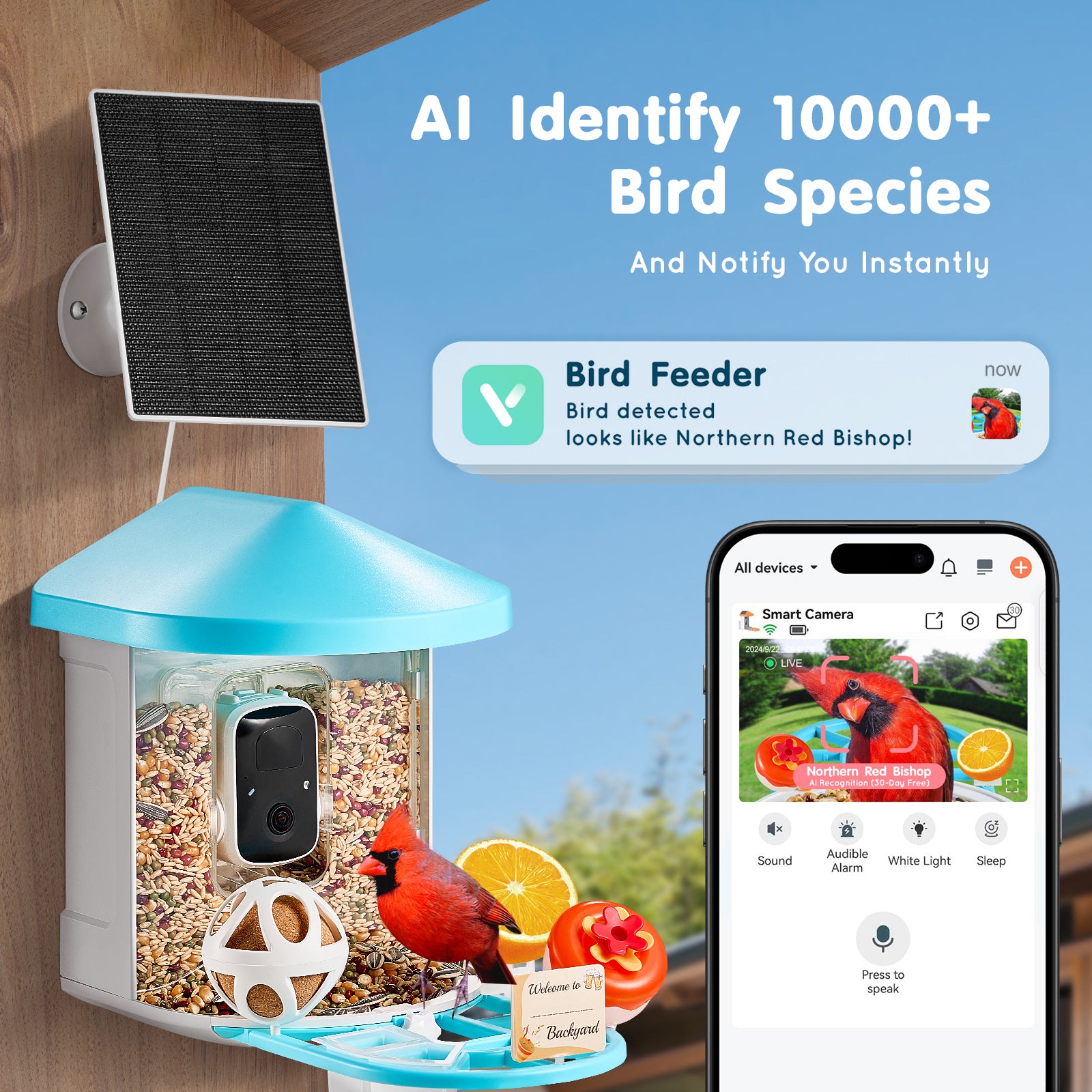 Smart Bird Feeder with Camera 2K HD AI Identify Bird Species Auto Capture