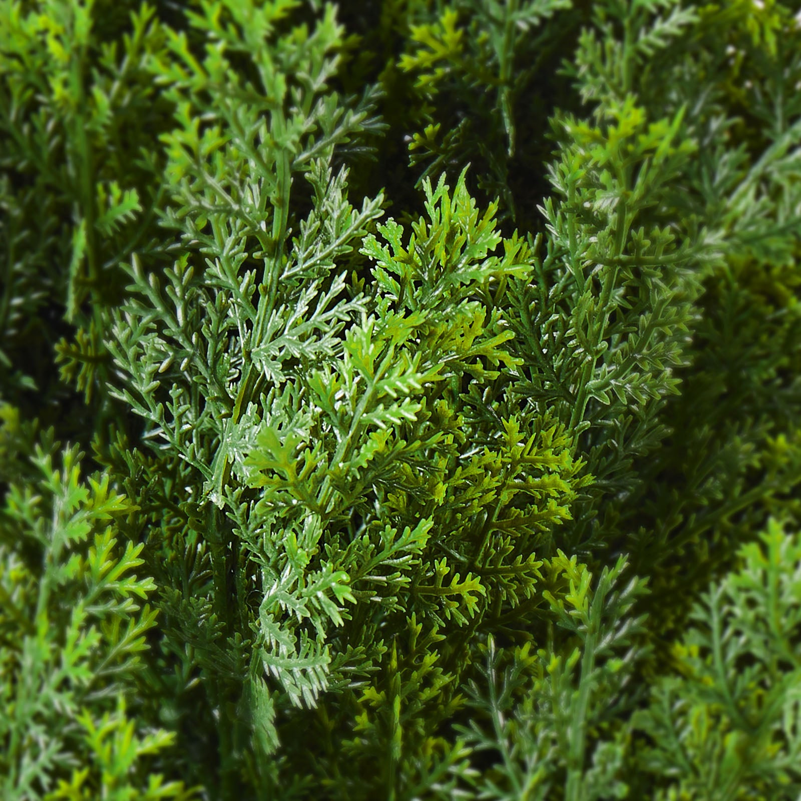 2 Pack 5' Artificial Cedar Topiary Tree Faux Plant UV Decor In/Outdoor