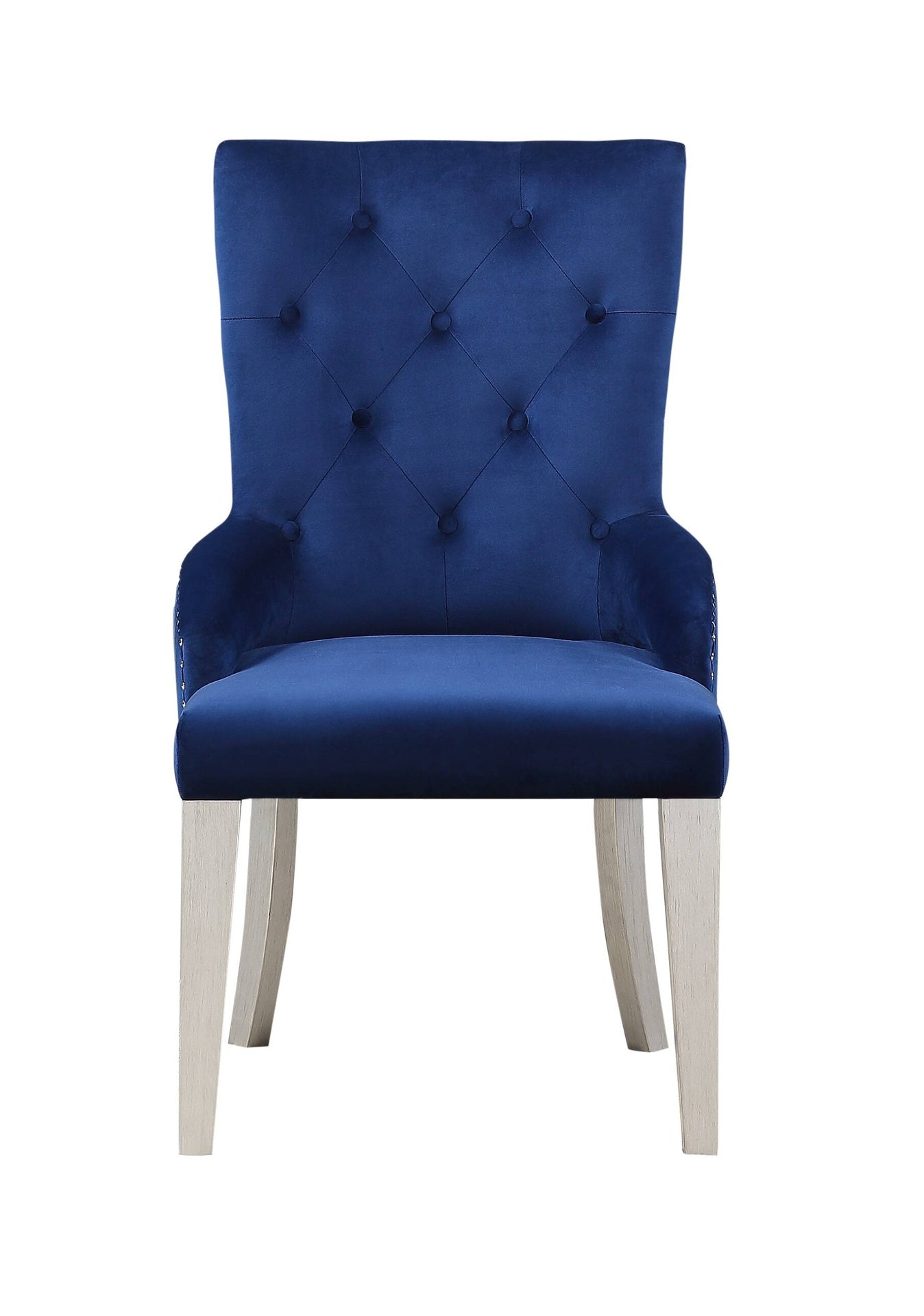 Blue Velvet Chair 1pc Button Tufted Nailhead Trim Platinum Finish Wooden Legs Luxury Dining Room Furniture