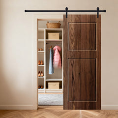 Modern 2-Panel 36 in. x 80 in. Wood Dark Walnut Barn Sliding Door With Hardware kit