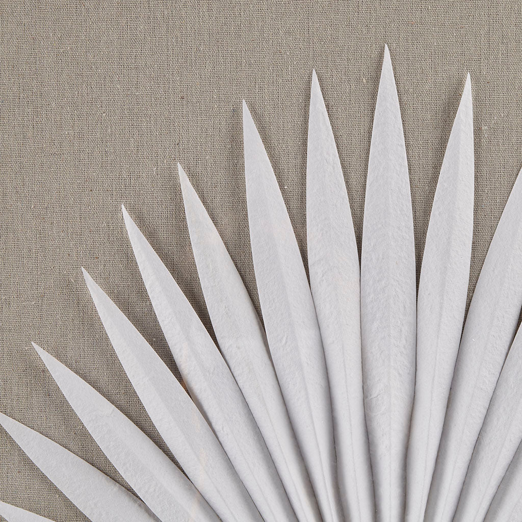Framed Rice Paper Palm Leaves 3-piece Shadowbox Wall Decor Set