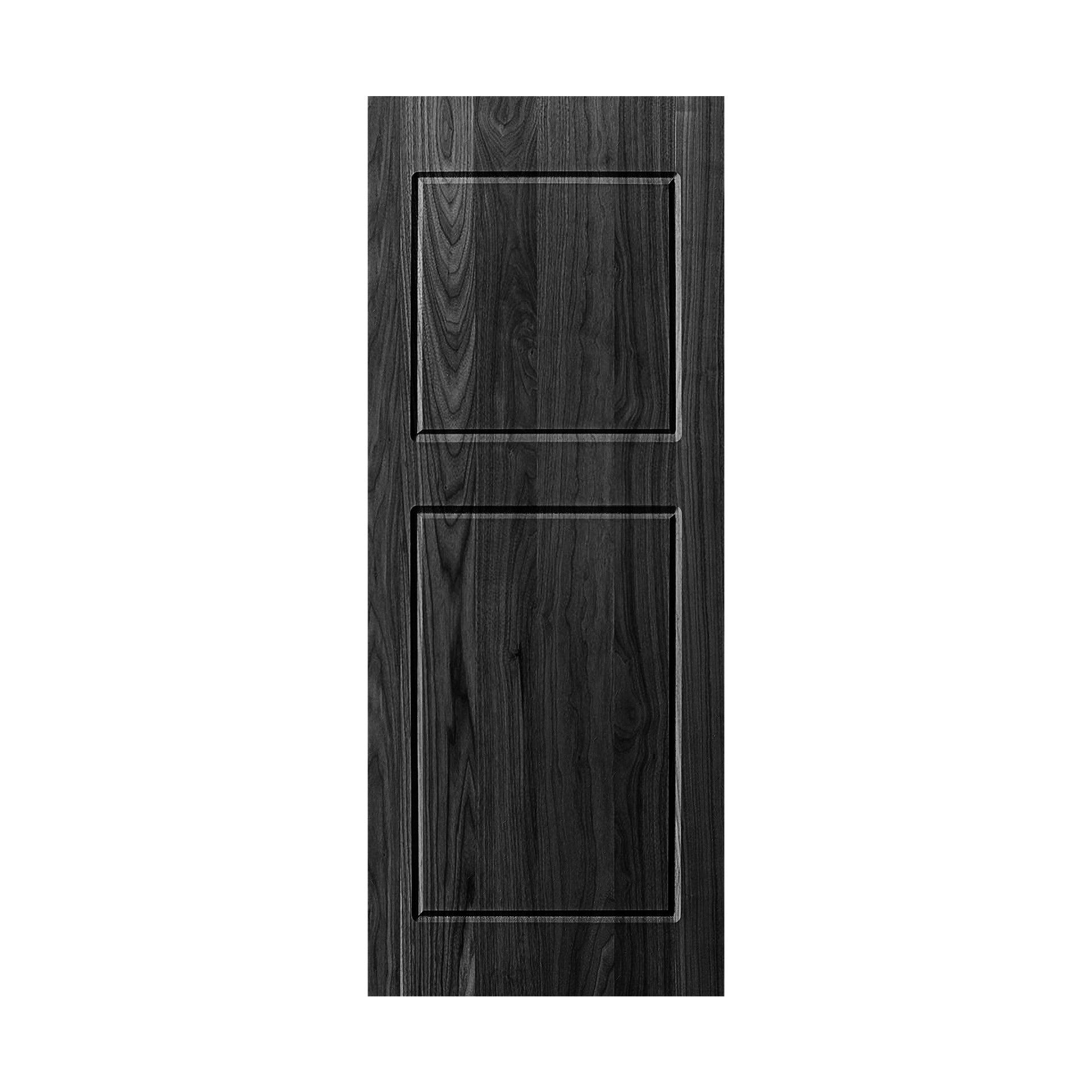 Modern 2-Panel 30 in. x 96 in. Wood Black Barn Sliding Door With Hardware kit