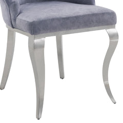 Dekel Gray Fabric & Stainless Steel Side Chair (Set of 2)