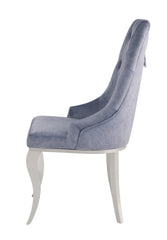 Dekel Gray Fabric & Stainless Steel Side Chair (Set of 2)