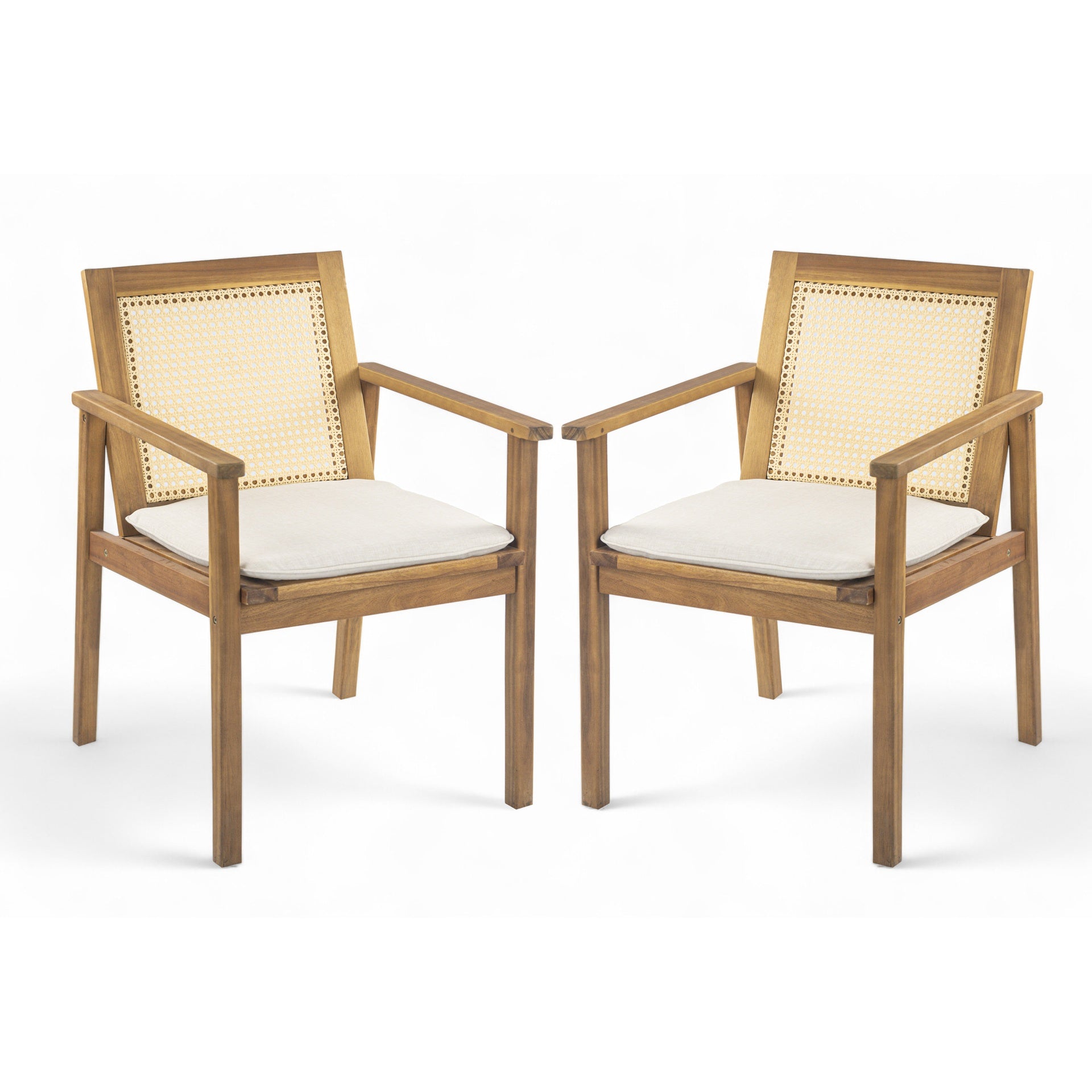 Preston Outdoor Dining Chair with Cushion(Set of 2)