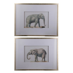 23.6x31.5" Fake Elephant Pencil Drawings, Set of 2