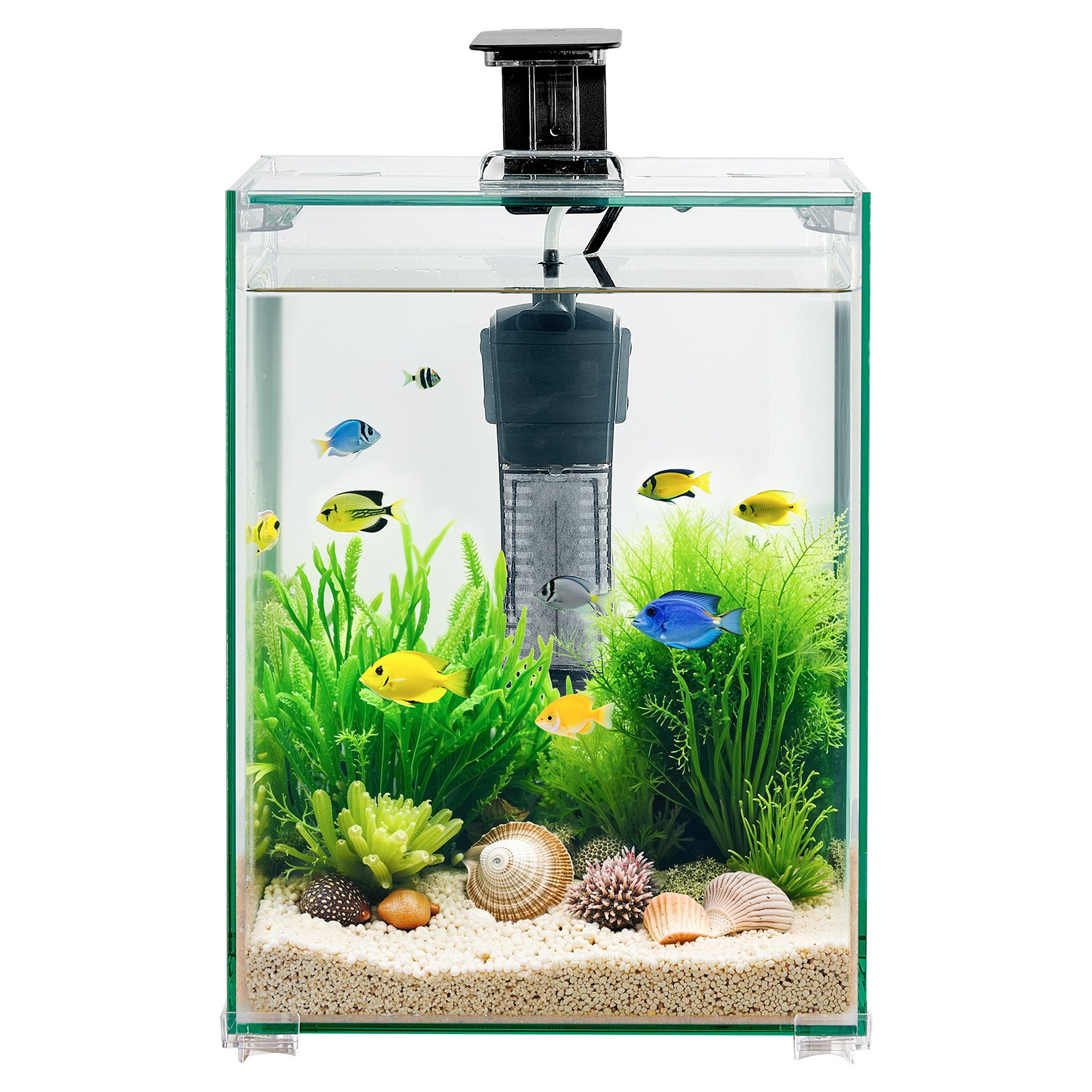 5 Gallon Fish Tank Aquarium Smart Square Clear Glass 3 Color Self Cleaning