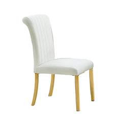 Contemporary Style 2pc Side Chair Channel Tufted Back Seat Stainless Steel O-Shaped Legs With Trestle Base Gold And White Finish