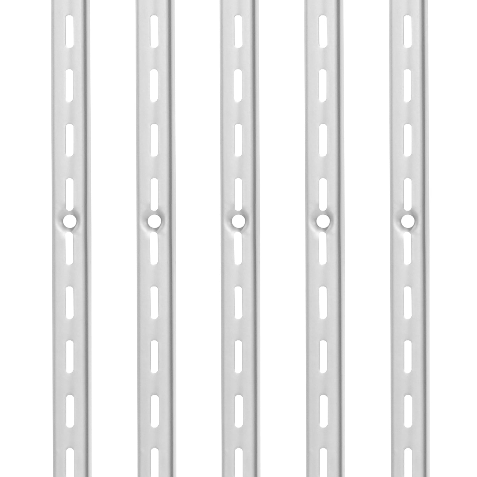 Shelf Track 39-inch 10 Pack Adjustable Steel Wall Mounted Shelf Pilaster
