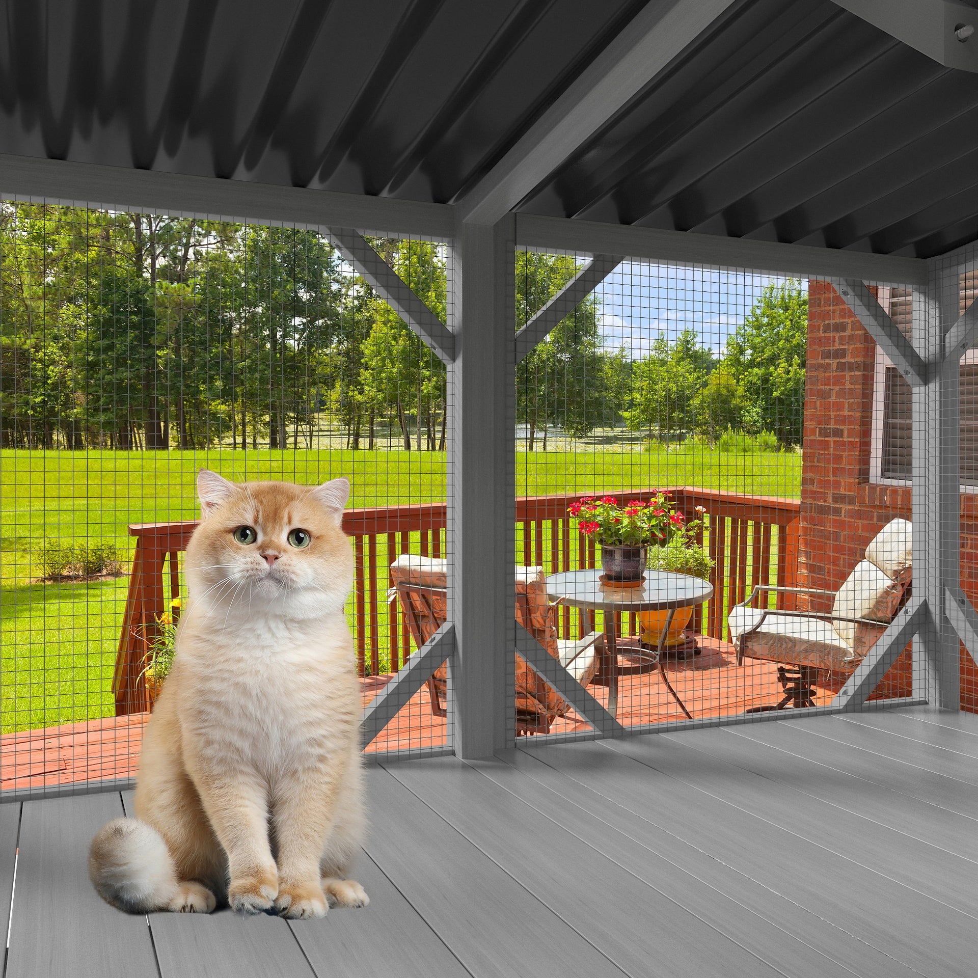 Cat Catio, Cat Window Perch for Large Indoor Cats - for Sunbathing, Napping & Overlooking, Wooden Cat Window Hammock for Safely Enjoying The Outdoor Sights Scents and Sounds