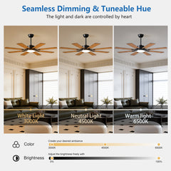 52 Inch Ceiling Fan with Lights and Remote Control, 8 Plywood Blades, 6-Speed Noiseless Reversible DC Motor, 3CCT, Windmill Ceiling fan for Kitchen Bedroom Living Room, Black