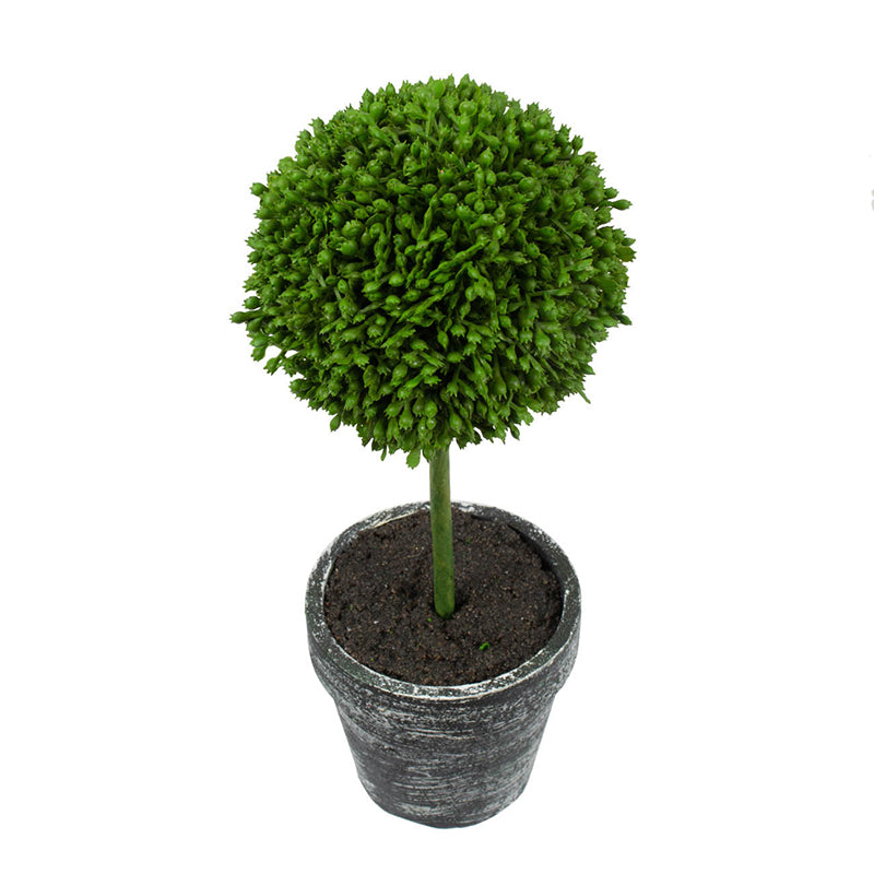 S/3 D3.5x9.5" Mini Faux Potted Boxwood Topiaries