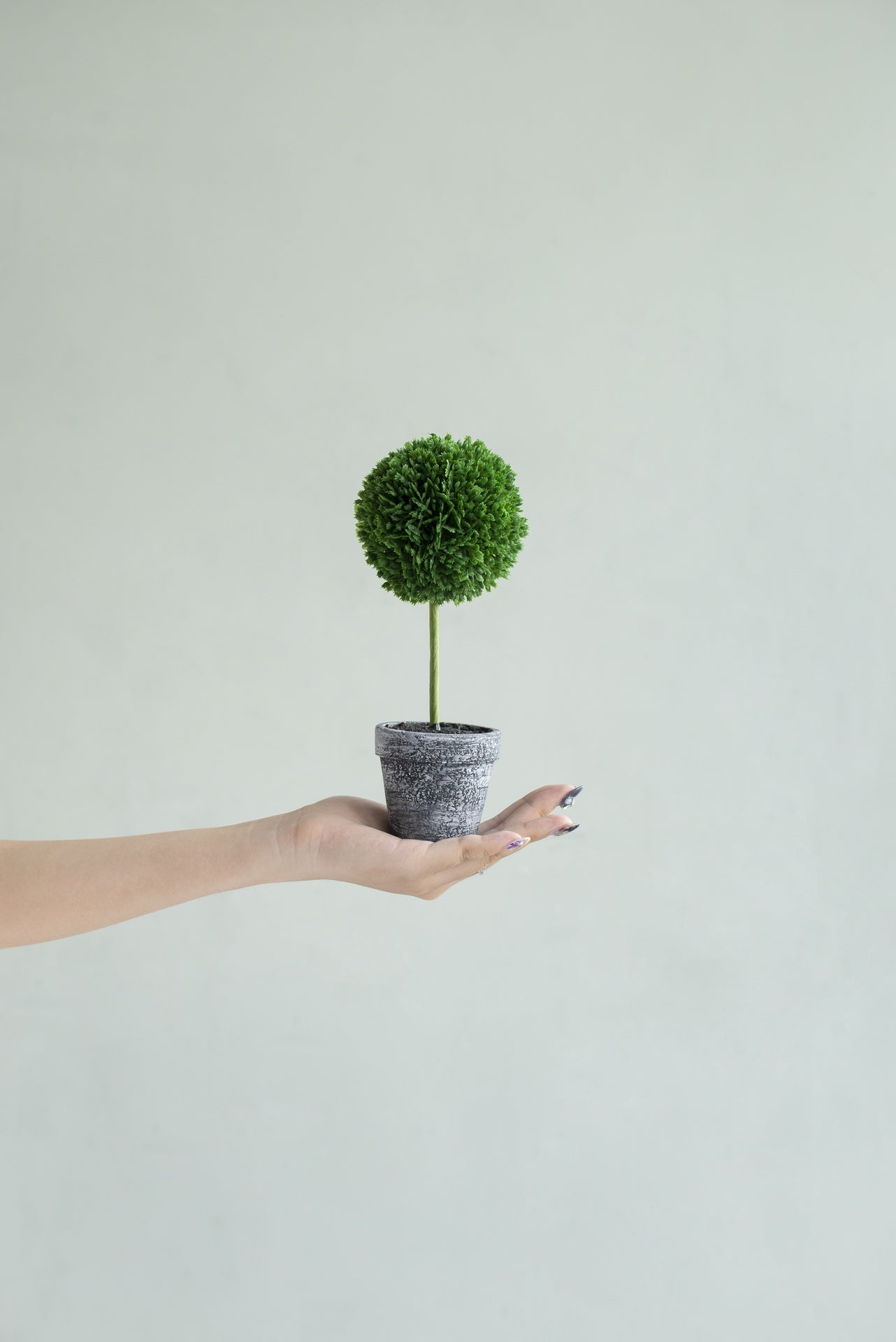 S/3 D3.5x9.5" Mini Faux Potted Boxwood Topiaries