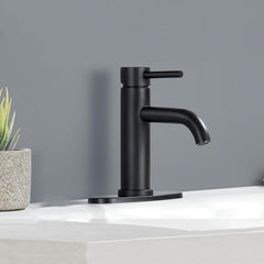 Single Handle Bathroom Faucet Lavatory Faucet Stainless Steel Single Hole-T10, Matte Black