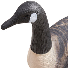Canada Goose Decoy Outdoor Goose Floater with Ultra Realistic Paint 6-Pack