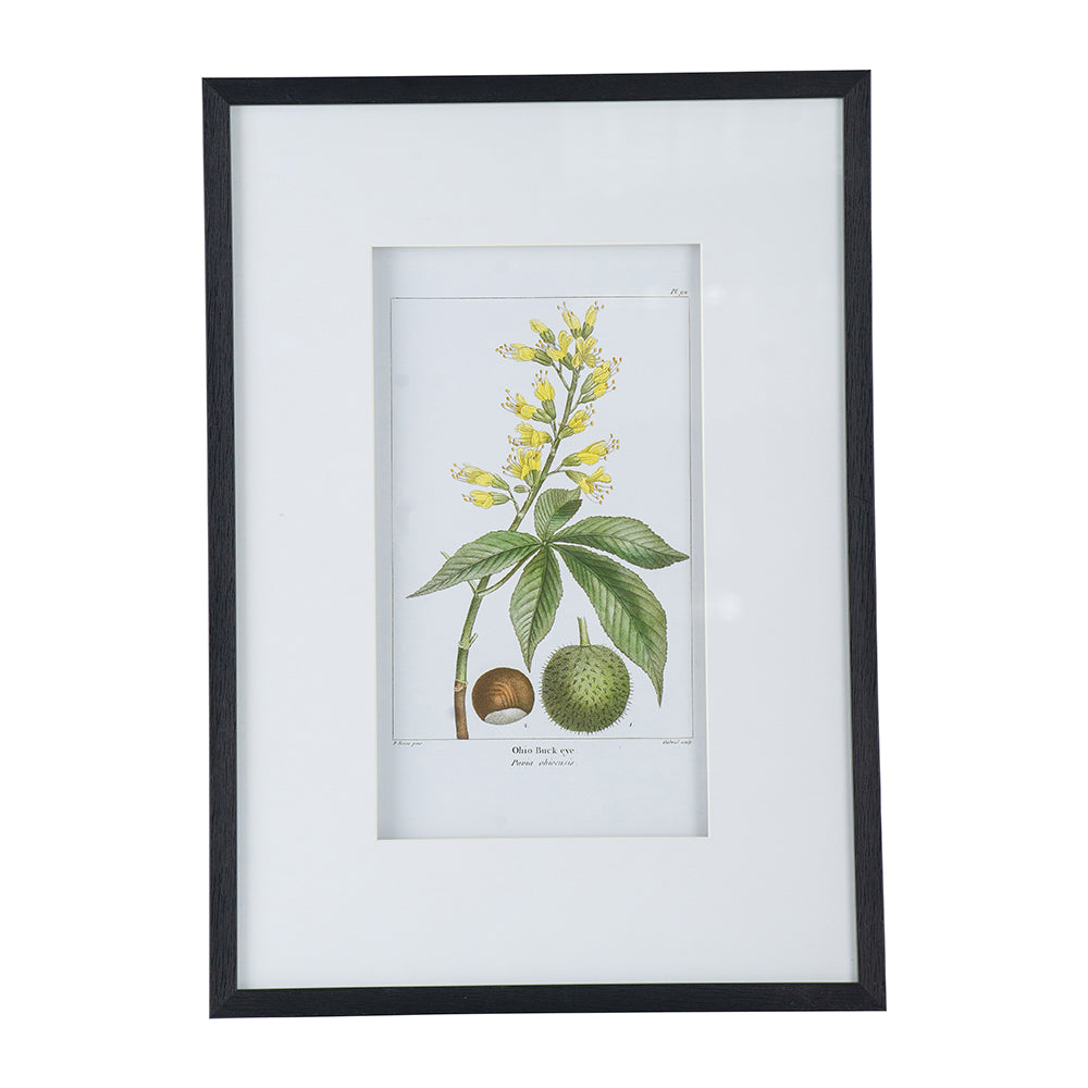 19.7x27.6" Botanical Wall Arts, Home Decor for Living Room, Dining Room, Bedroom, Hallway, Set of 2