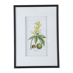 19.7x27.6" Botanical Wall Arts, Home Decor for Living Room, Dining Room, Bedroom, Hallway, Set of 2