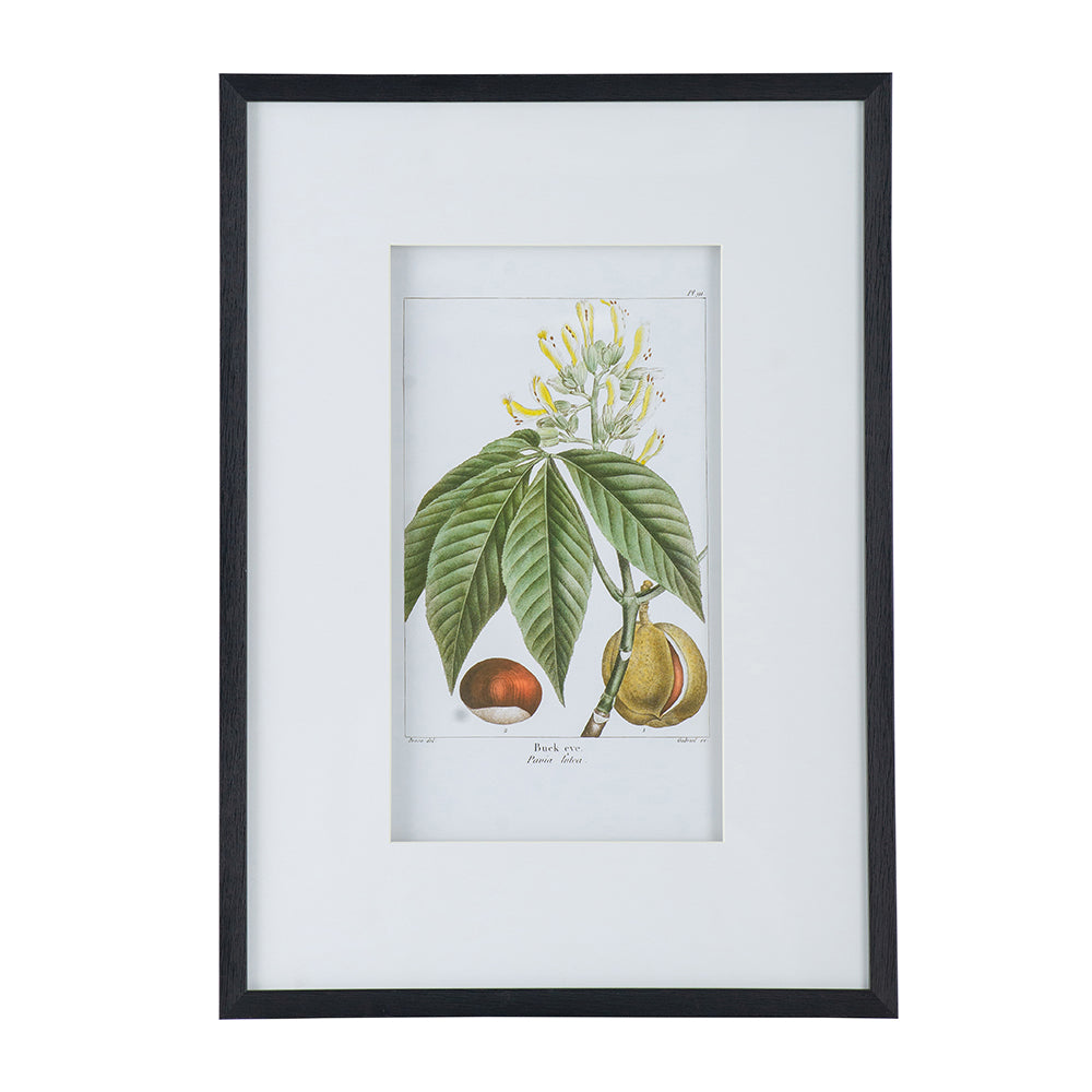 19.7x27.6" Botanical Wall Arts, Home Decor for Living Room, Dining Room, Bedroom, Hallway, Set of 2