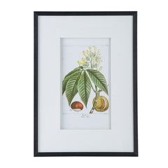 19.7x27.6" Botanical Wall Arts, Home Decor for Living Room, Dining Room, Bedroom, Hallway, Set of 2