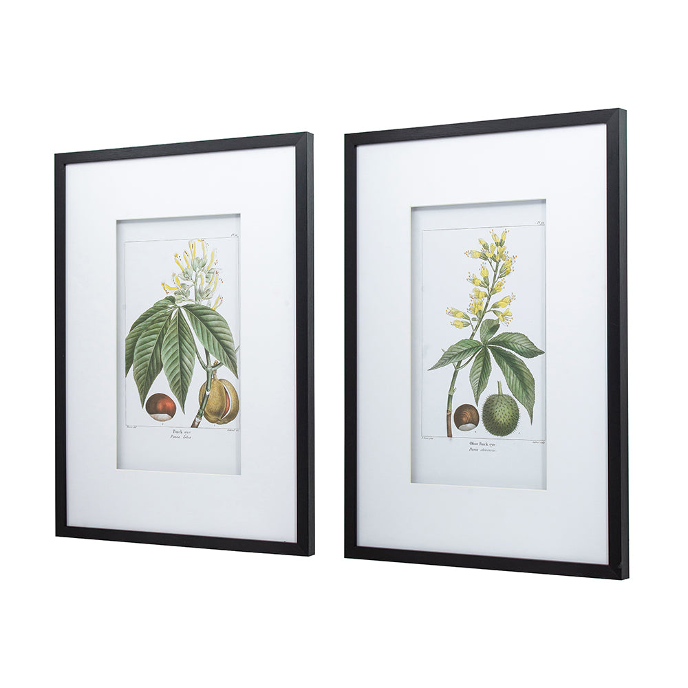 19.7x27.6" Botanical Wall Arts, Home Decor for Living Room, Dining Room, Bedroom, Hallway, Set of 2