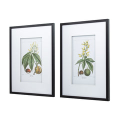 19.7x27.6" Botanical Wall Arts, Home Decor for Living Room, Dining Room, Bedroom, Hallway, Set of 2