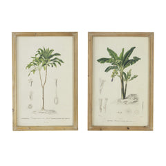 S/2 Tree Framed Print, 15.5x23.5"