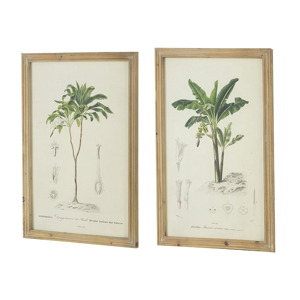 S/2 Tree Framed Print, 15.5x23.5"