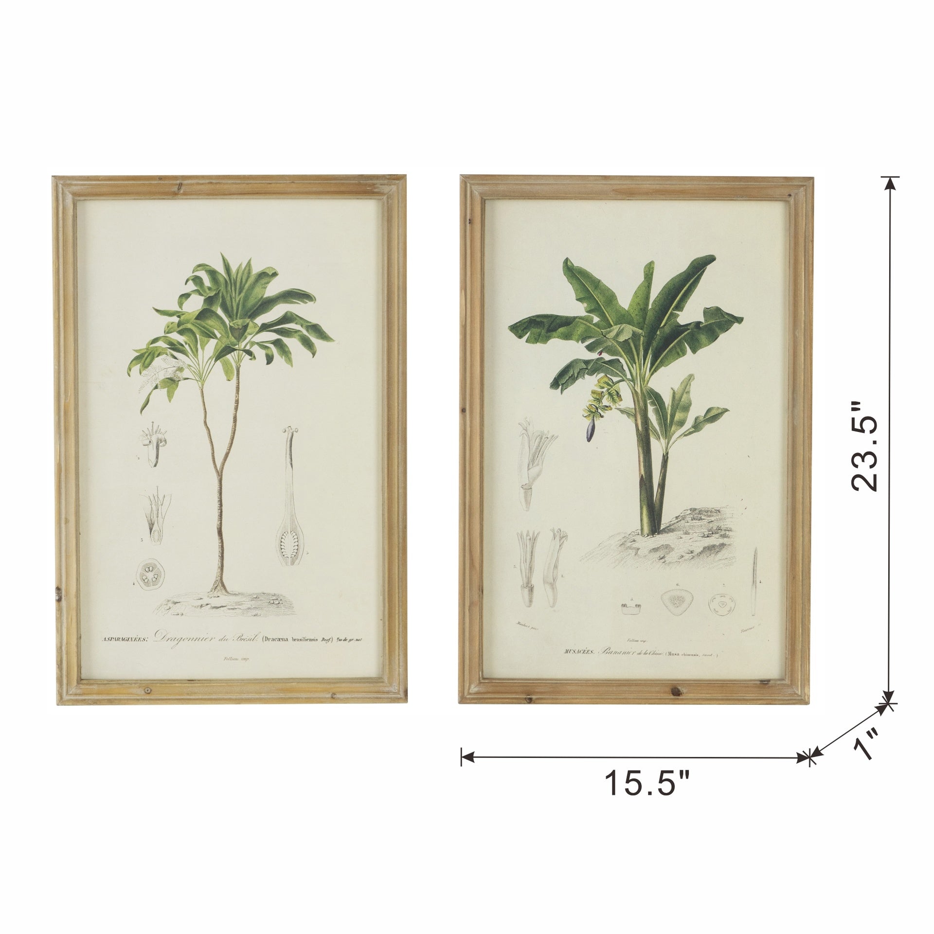 S/2 Tree Framed Print, 15.5x23.5"
