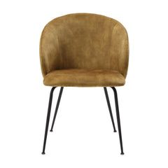 Mustard Color Velvet Fabric Upholstery Side Chairs 2pc Set Black Metal Legs Modern Home Furniture