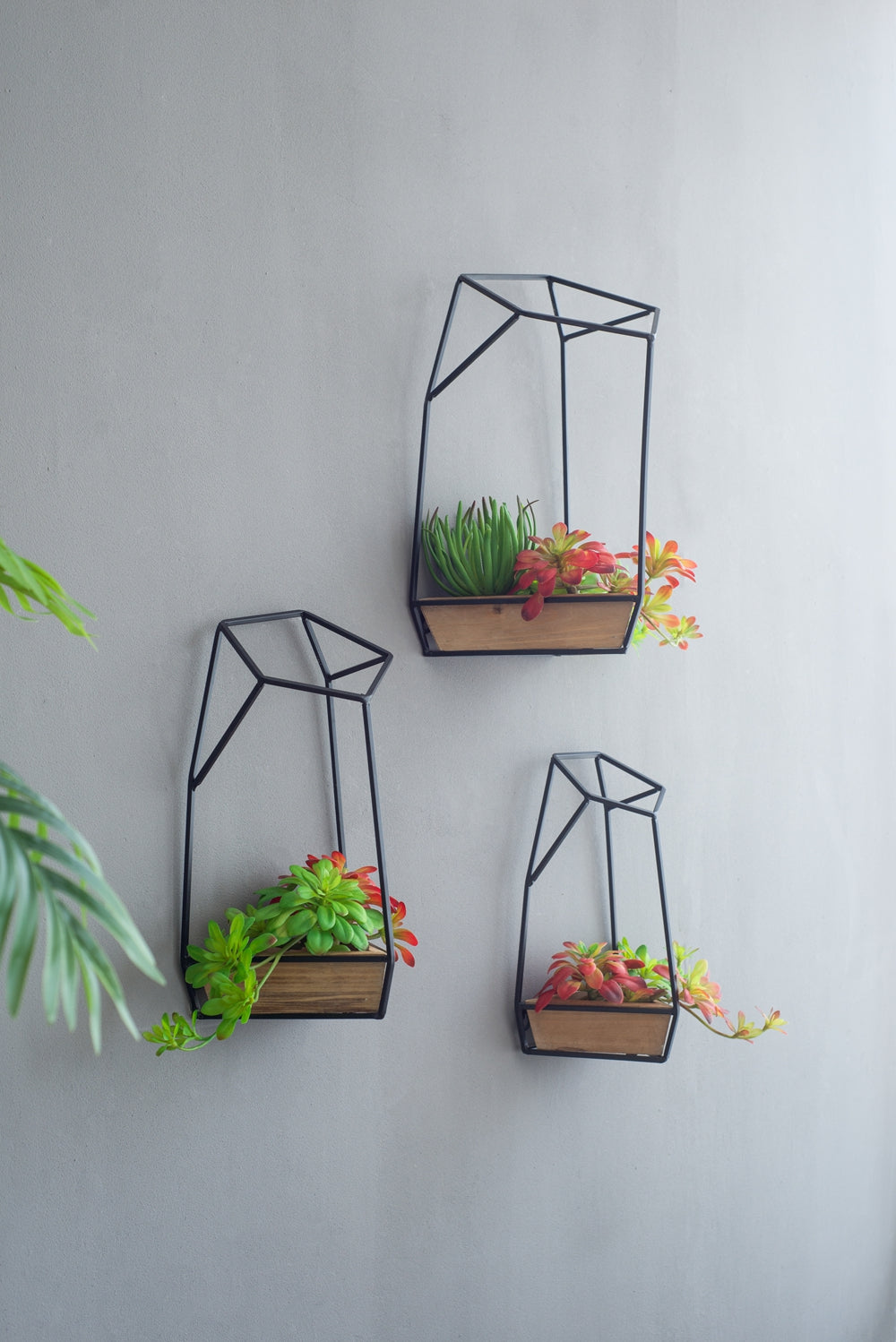 Set of 3 Felix Wall Planter, L:10x10x16.5"  M:8.5x8.5x15.5" S:7x7x13.5"