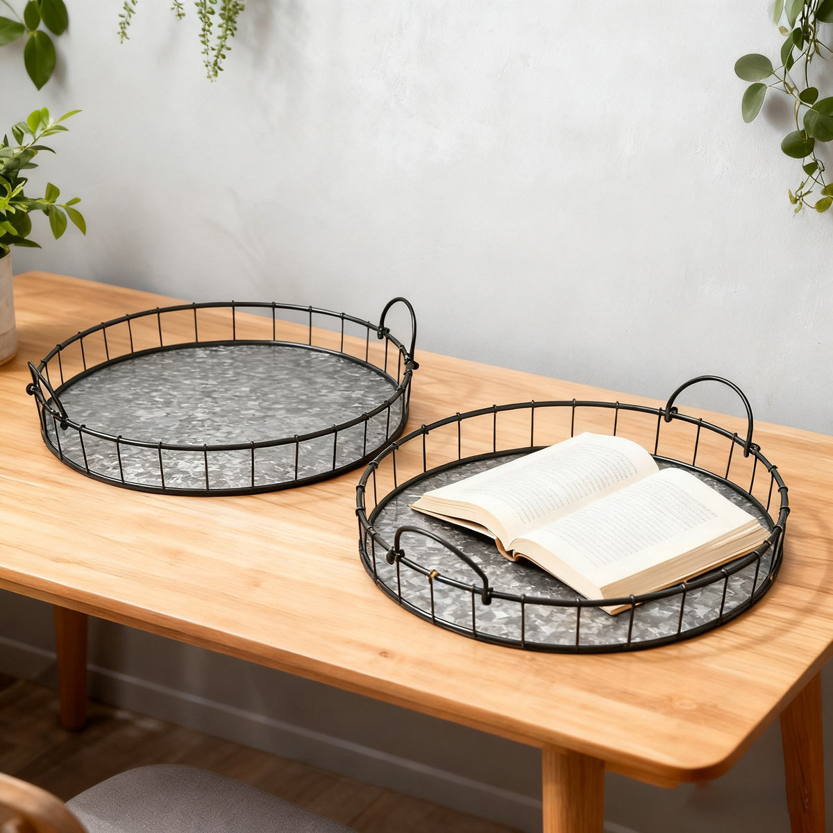 S/2 Iron Trays