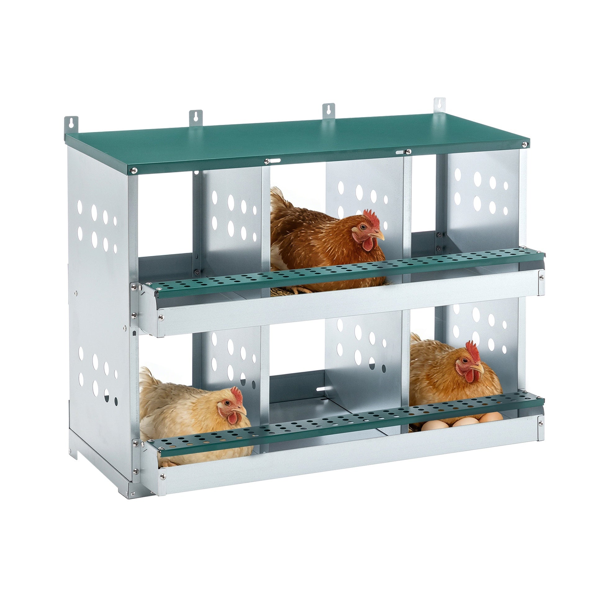 6 Compartments Chicken Nesting Box for Laying Eggs, Roll Away Chicken Laying Boxes, Green