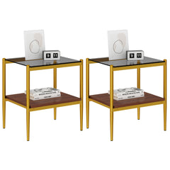 Set of 2 Rectangle End Table, Tempered Glass Tabletop with MDF layer, Modern Table for Living Room , Gray Glass