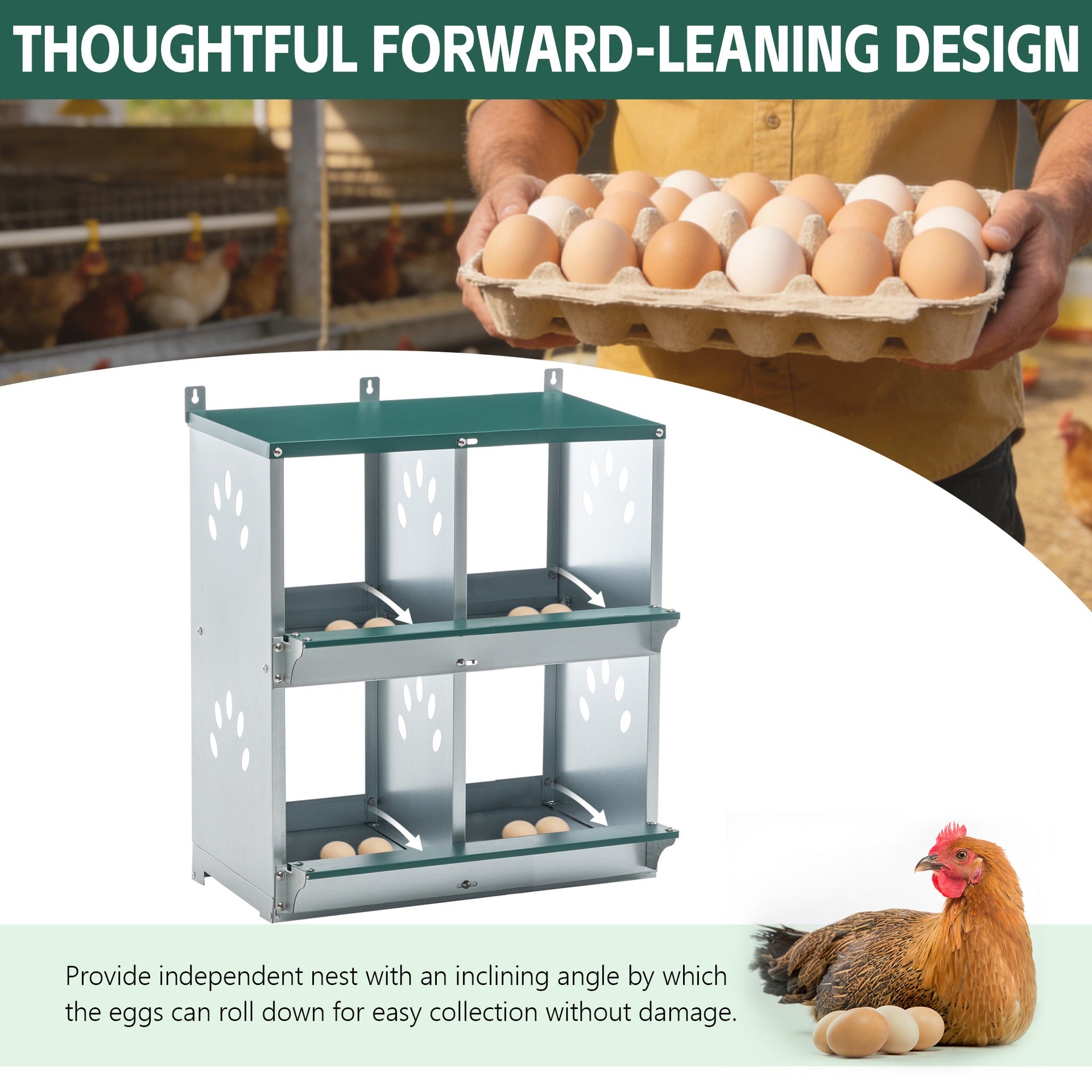 4 Compartment Chicken Nesting Boxes, Metal Nesting Boxes Wall Mount Chicken Egg Laying Box for Different Chicken Breeds
