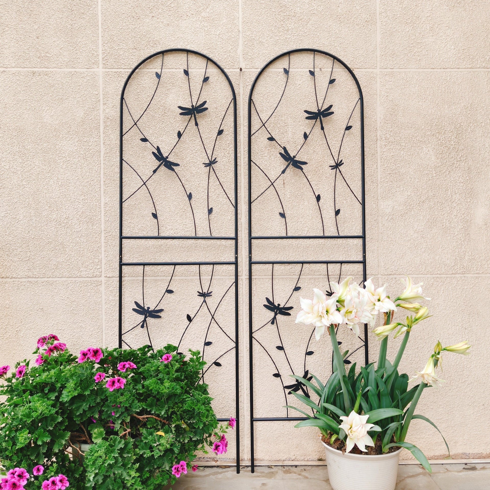 4 Pack Metal Garden Trellis 71" x 19.7" Rustproof Trellis for Climbing Plants Outdoor Flower Support Dragonfly Deco Black