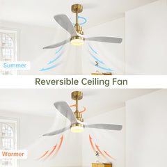 Indoor 52 Inch Ceiling Fan With Dimmable Led Light 6 Speed Remote Gold 3 Wood Blade Reversible DC Motor For Living Room