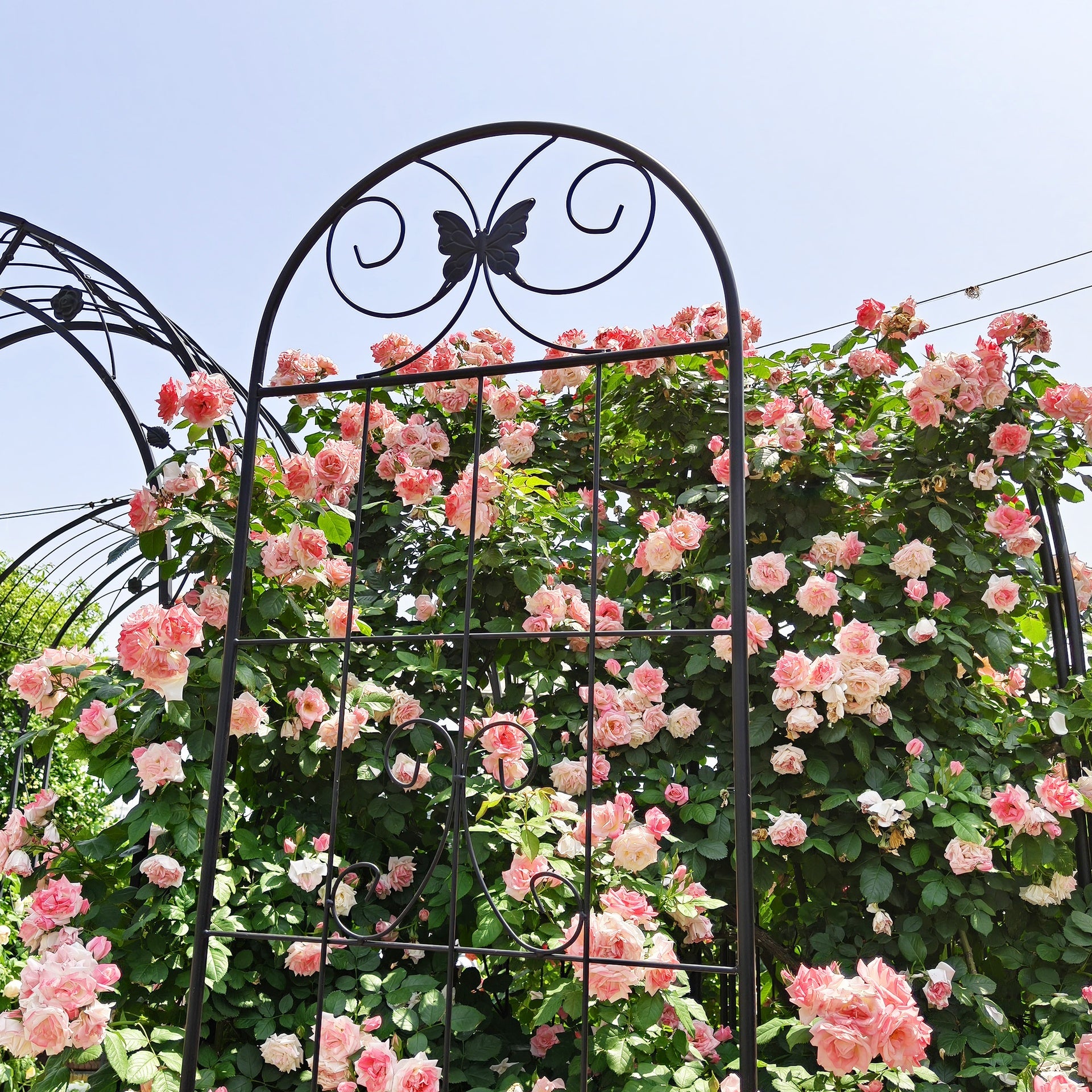4 Pack Metal Garden Trellis 86.7" x 19.7" Rustproof Trellis for Climbing Plants Outdoor Flower Support Black