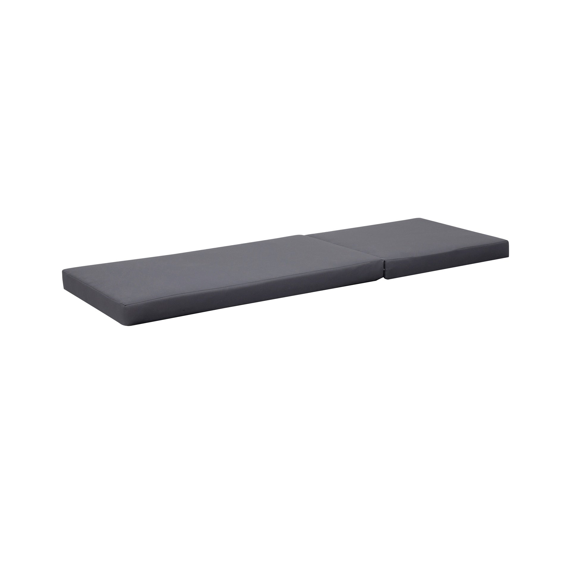 BROADWAY/IAN CHAISE LOUNGE CUSHION