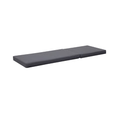 BROADWAY/IAN CHAISE LOUNGE CUSHION