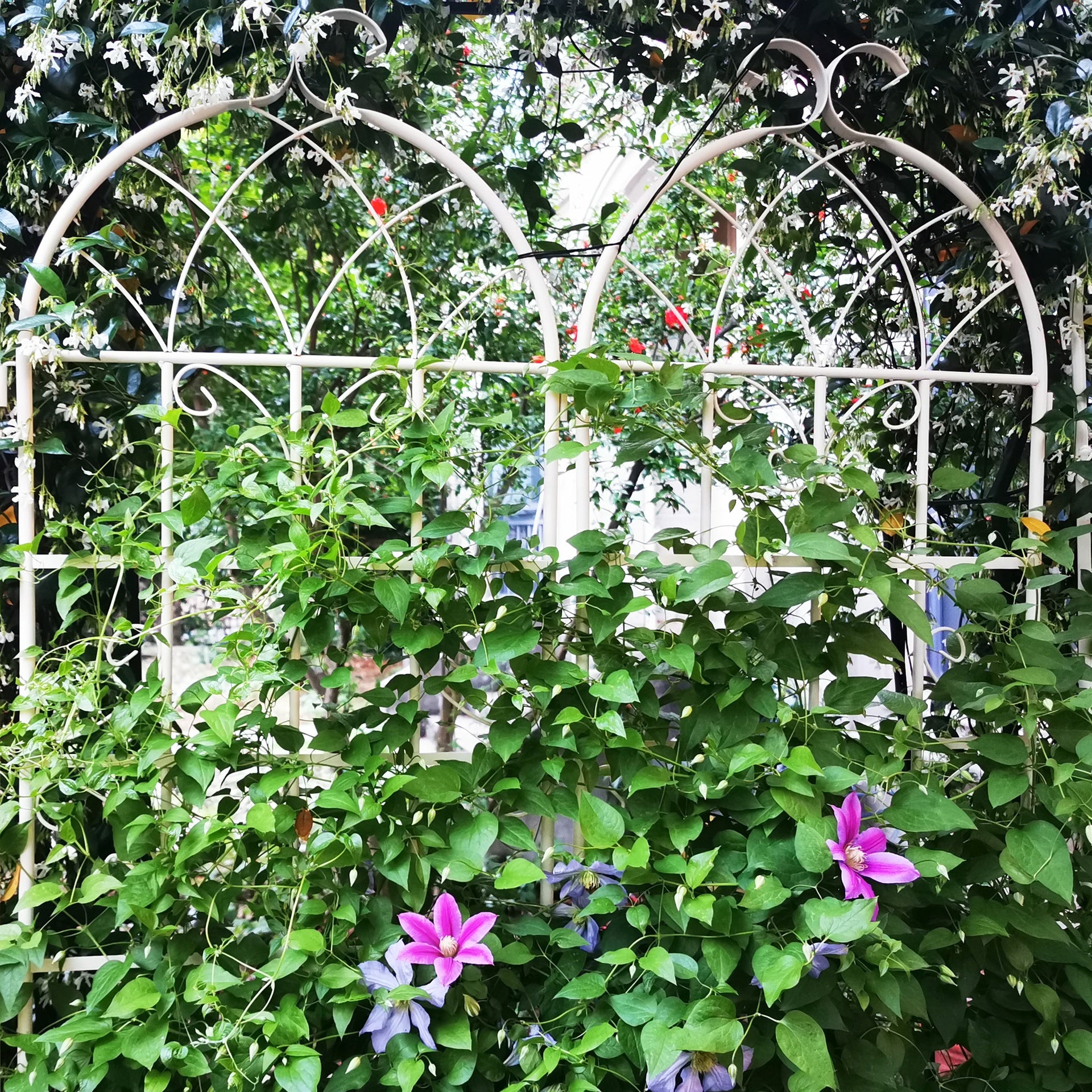 4 Pack Metal Garden Trellis 71" x 19.7" Rustproof Trellis for Climbing Plants Outdoor Flower Support Cream White