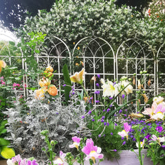 4 Pack Metal Garden Trellis 71" x 19.7" Rustproof Trellis for Climbing Plants Outdoor Flower Support Cream White