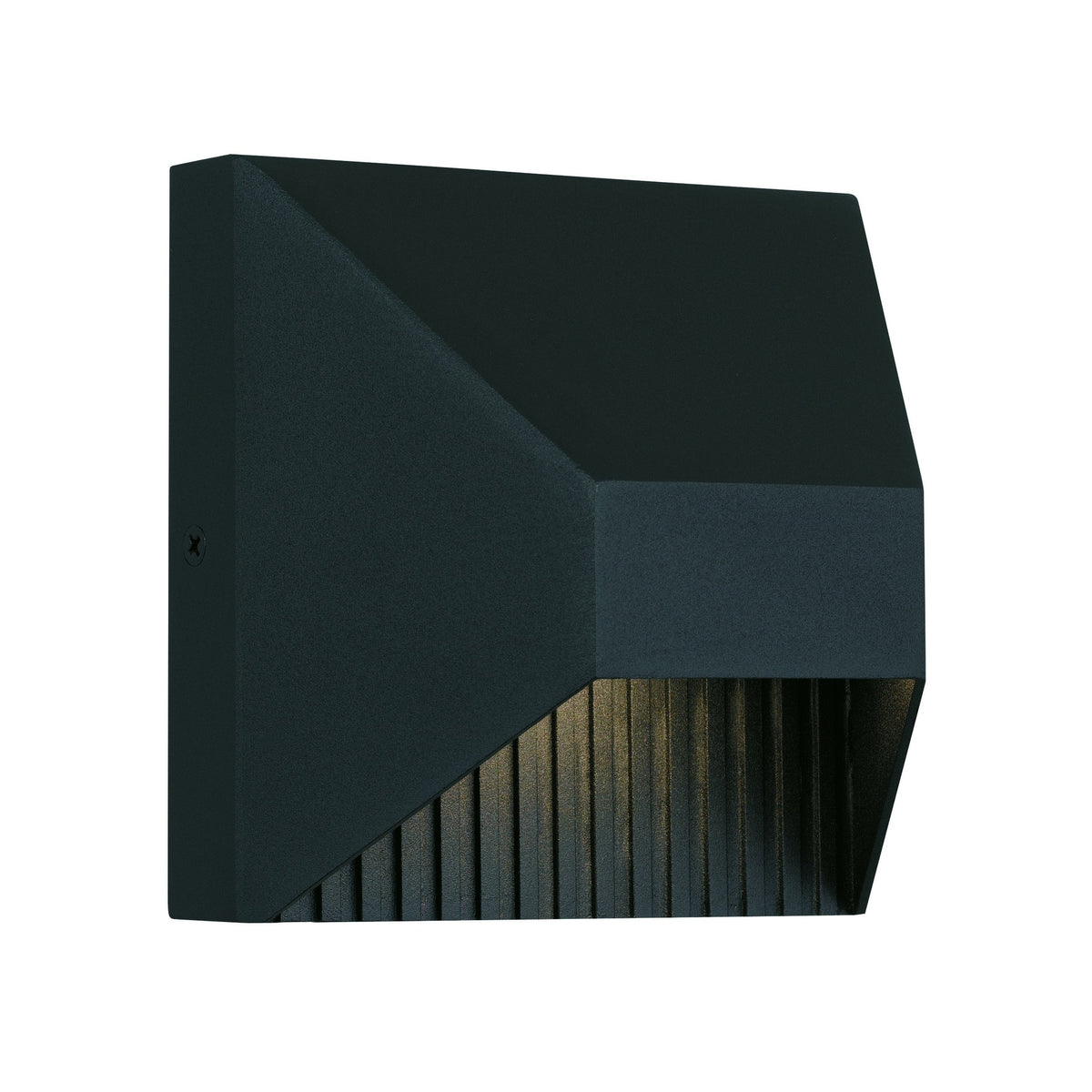 5 inch LED Wall Sconce